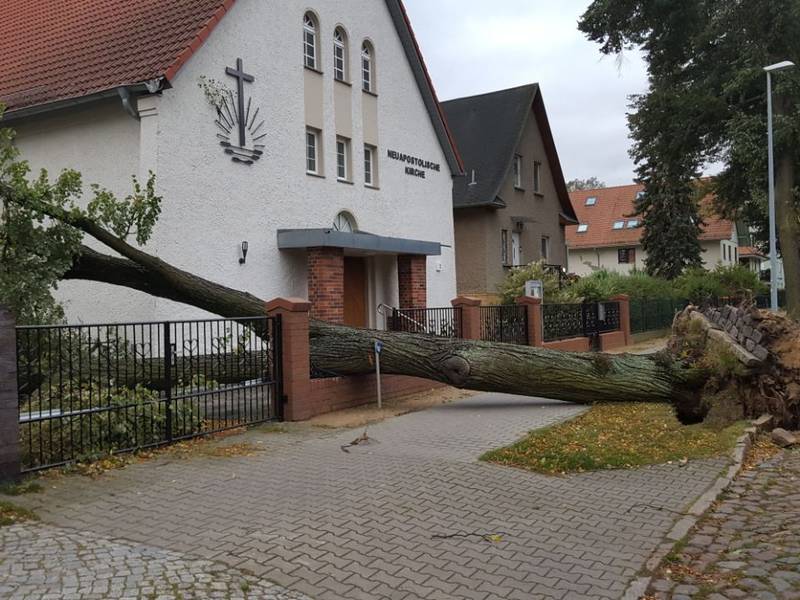 Eichwalde hatte "Glück". Der Baum verfehlt das Gebäude um Zentimeter.