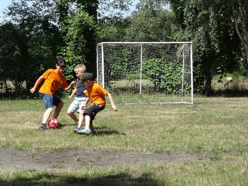 ganzen Einsatz.