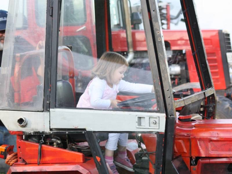 Endlich mal Traktor fahren oder...