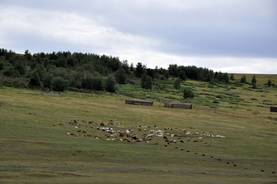 Die schier endlos erscheindende mongolische Steppe