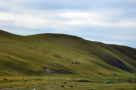 Die mongolische Steppe