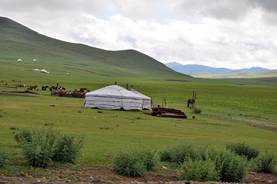 Die Mongolen leben in und mit der Natur