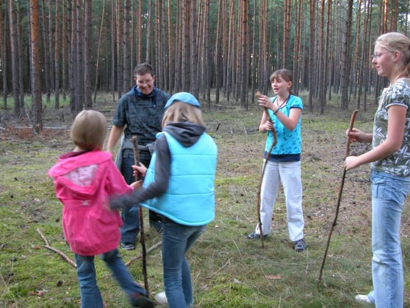 Der gemeinsame Waldspaziergang...