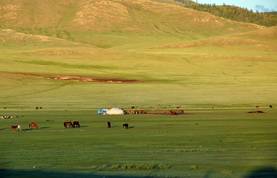 Abendstimmung in der mongolischen Steppe