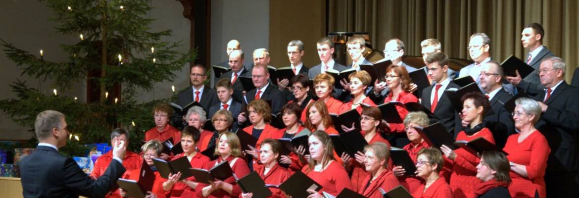 Mit dabei waren der gemischte Chor aus Fürstenwalde...