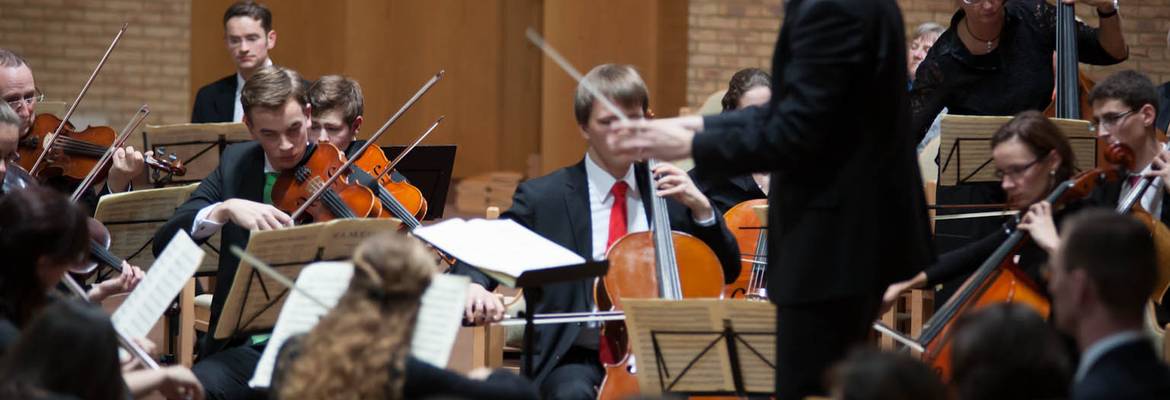 Das Orchester mit seinem Dirigenten Volker Hedtfeld