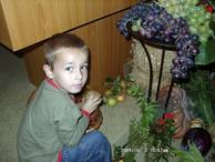 Enrico (6)