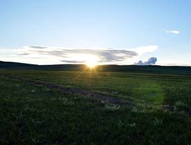 Letzte Sonnenstrahlen berühren das Gras