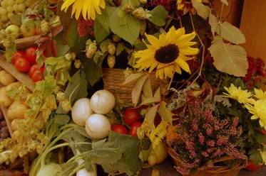 Auch Blumen...